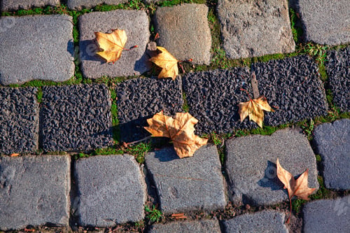 Preview: Dry Leaves On The Cobblestone Road . Autumn Symbol