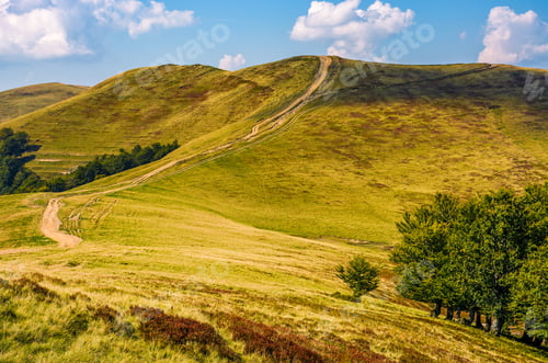 Preview: Footpath Through Hills With Forest. Beautiful Nature Scenery In Fine Early Autumn Weather