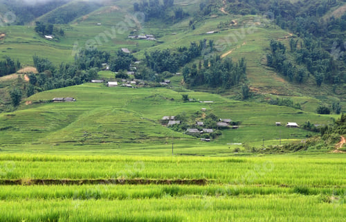 Preview: Vietnamese Mountain Landscape With Rice Fields And Small Villages In The Mountains Of Sapa Area In