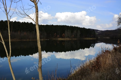 Preview: Tree Near Lake Landscape