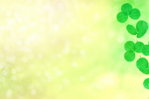 Preview: Green Clover Leaves On A Background Summer Landscape. St.Patrick 'S Day.