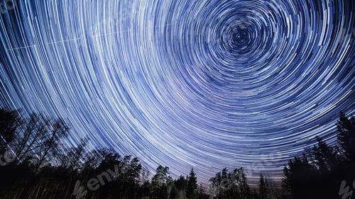 Preview: Beautiful Startrails On Night Sky Over Forest. Abstract Landscape.