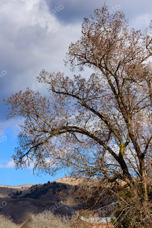 Preview: Amazing Landscape With Dramatic Clouds, Armenia