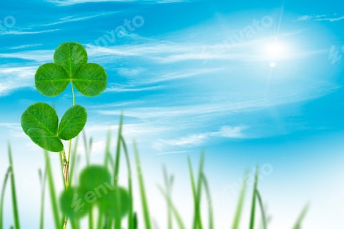 Preview: Green Clover Leaves On A Background Summer Landscape