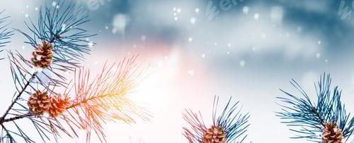 Visualização: Floresta congelada de inverno com árvores cobertas de neve. Ramo de coníferas
.