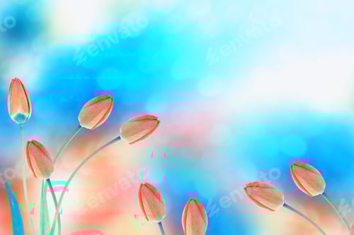 Preview: Bright And Colorful Flowers Tulips On The Background Of Spring Landscape.