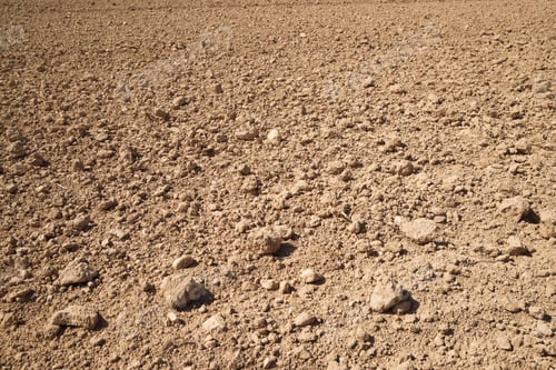 Preview: Texture Of A Plowed Field, Zaragoza Province, Aragon, Spain.