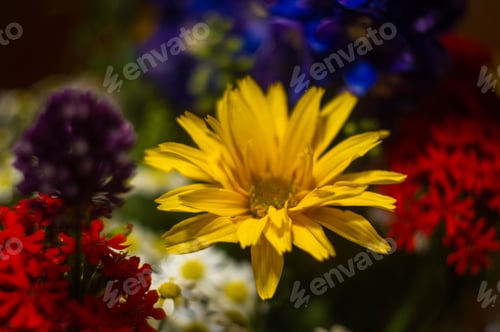 Preview: A Bouquet Of Bright Spring Flowers Of Various Types