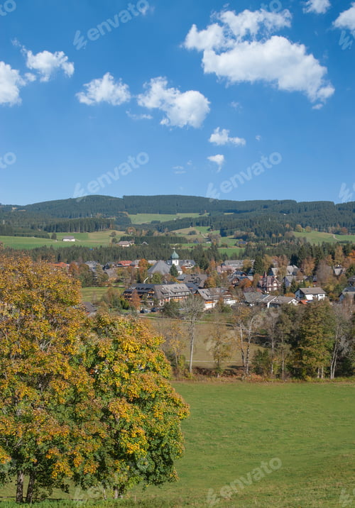 Preview: Village Of Hinterzarten In Black Forest,Baden-Wuerttemberg,Germany