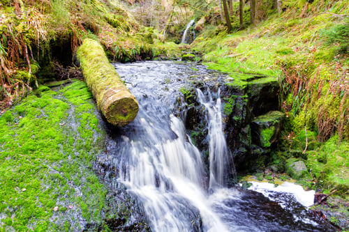 Preview: Linhope Spout. Waterfall In Breamish Valley, Northumberland, England, Uk. Taken On A Bright Sunny