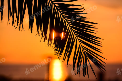 Preview: Sunset, Golden Moments