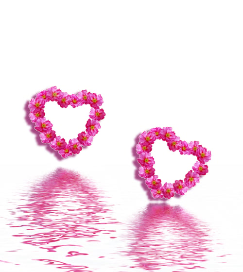 Preview: Heart Of Flowers Rose Isolated On White Background. Holiday Card.