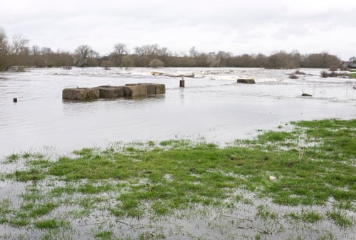 Preview: Flooded River Trent At Sawley, Derbyshire
