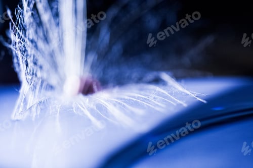 Preview: Macro, Abstract Composition With Colorful Water Drops On Dandelion Seeds