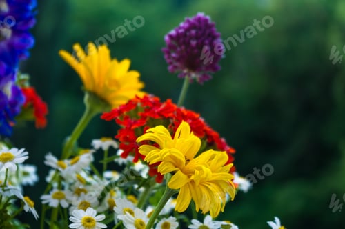 Preview: A Colorful Bouquet Of Bright Spring Flowers Of Various Types, Close-Up