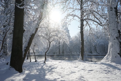 Preview: Winter Landscape In The Park In A Cold, But Sunny Day. High Resolution And Beautiful Snow Details
