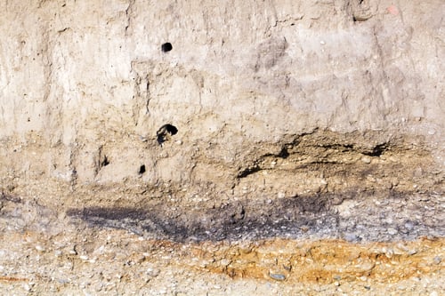 Preview: Soil Texture And Layers