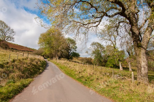 Preview: Summertime Country Lane In The Black Mountains Of Herefordshire, England.