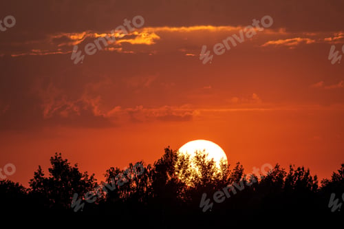 Preview: Beautiful Red Sunset Over The Lake With Grass On Forefround