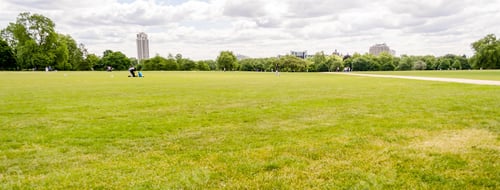 Aperçu: Grande pelouse à Hyde Park, Londres, Royaume-Uni