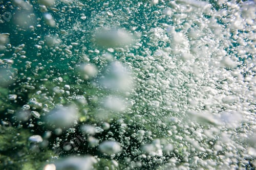 Preview: Underwater Texture And Fauna In Ionian Sea, Zakynthos, Greece