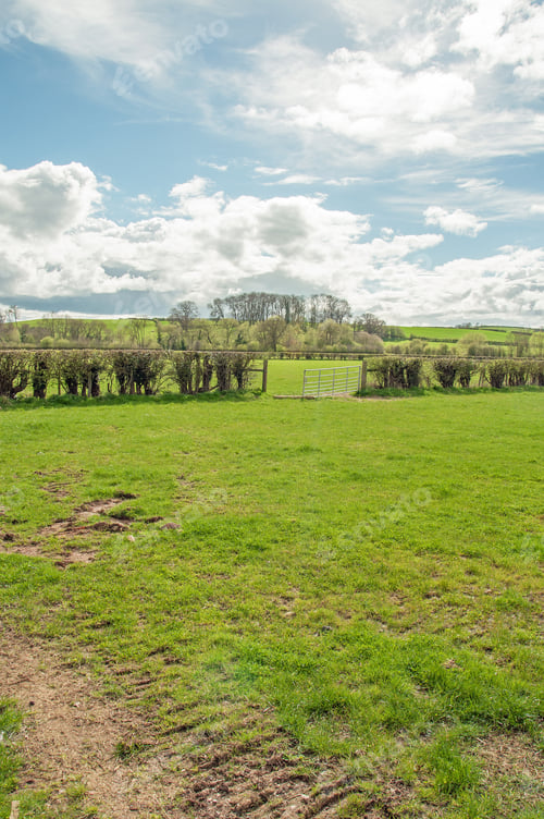 Preview: Springtime Landscape In The British Countryside.