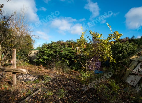Preview: Abandoned Messy Garden Background Image
