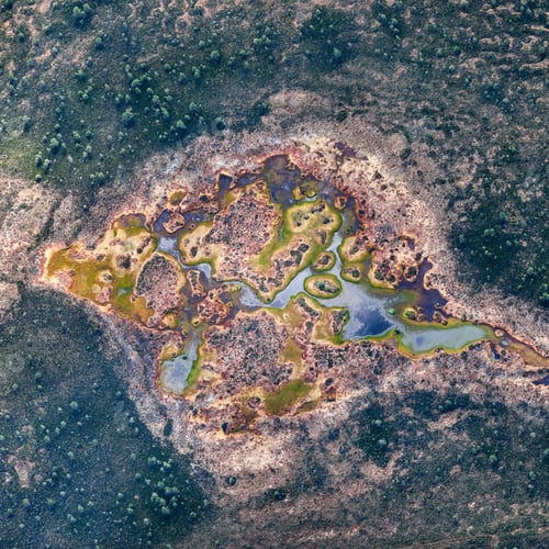 Aperçu: Aerial View Over The Swamps