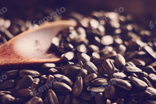 Preview: Fried Sunflower Black Seeds With A Wooden Spoon In A Pan, Close-Up