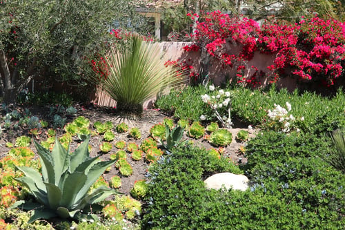 Preview: California, Usa - Beautiful Colorful Garden In Malibu.