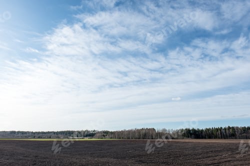 Preview: Cultivated Field In Early Spring Day In Countryside