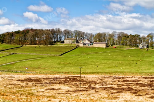 Preview: Rolling Green Farm Fields, Moors And Pastures At Hadrian'S Wall. Colorful Panorama Over The