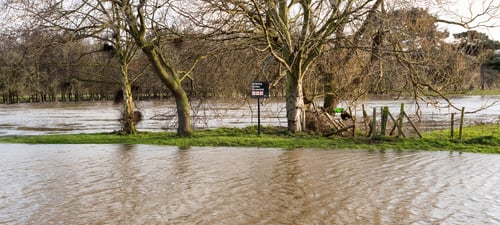 Preview: Disappearing Land Cut Off By Rising Water