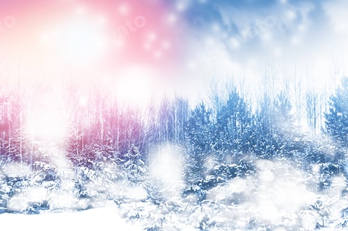Preview: Forest In The Frost. Winter Landscape. Snow Covered Trees