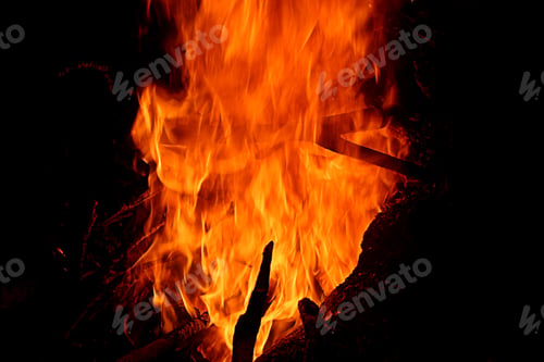 Preview: Bonfire