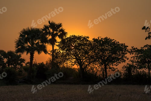 Preview: Beautiful Sunset In Tropical Rural District, Siem Reap, Cambodia
