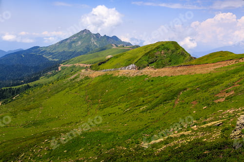 Preview: Beautiful Mountain View On A Sunny Summer Day. Blooming Alpine Meadows In The Mountains.