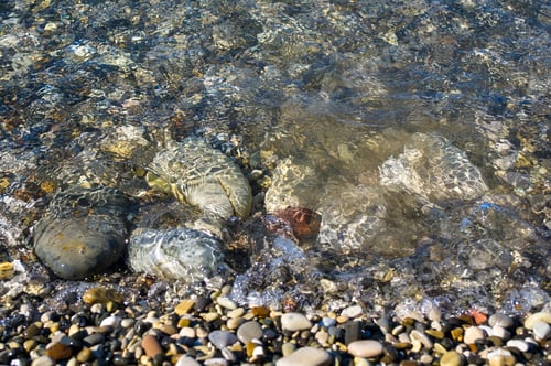Preview: Sea Pebble Beach With Multicoloured Stones, Waves With Foam