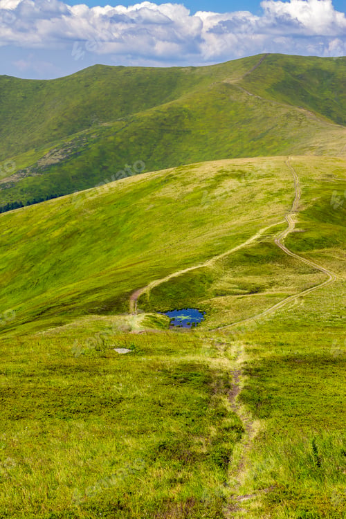 Preview: Lake Near The Path In Grass At The Top Of The Mountain