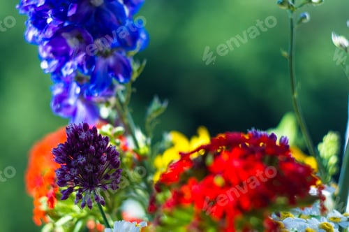 Preview: A Bouquet Of Bright Spring Flowers Of Various Types