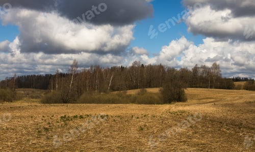 Preview: Processed Cereal Fields In Spring
