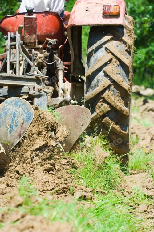 Preview: Red Tractor Plowing In An Orchard