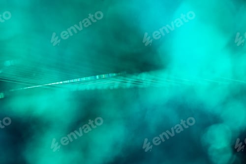 Preview: Abstract Composition With Spider Web Details And Natural Colors
