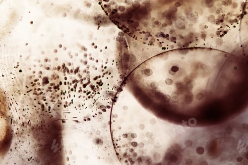 Preview: Abstract Underwater Games With Jelly Balls, Bubbles And Light