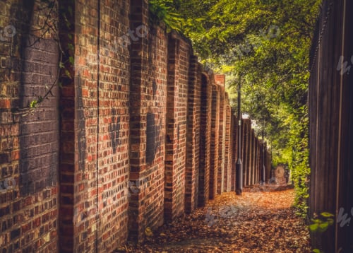 Vista previa: Un camino en uno de los suburbios de Londres fotografiado en otoño