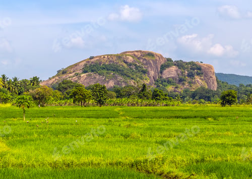 Preview: Mist Morning Mountain Tropical Landscape And Village In Sri Lanka