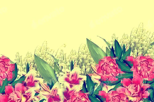 Preview: Peony. Spring Flowers. Lily Of The Valley
