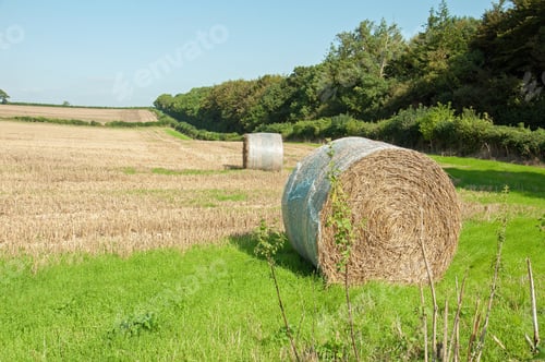 Preview: Straw Bales On A Summer Farmland In The Dorset Countryside