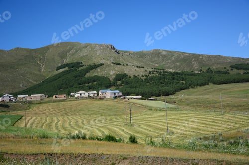 Preview: Rural Landscape