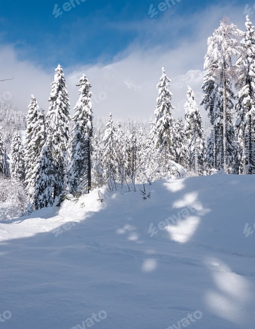Preview: Winter In The Mountains